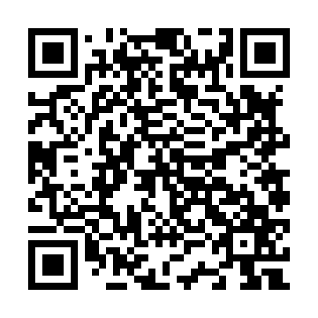 QR code for plate N3F 867