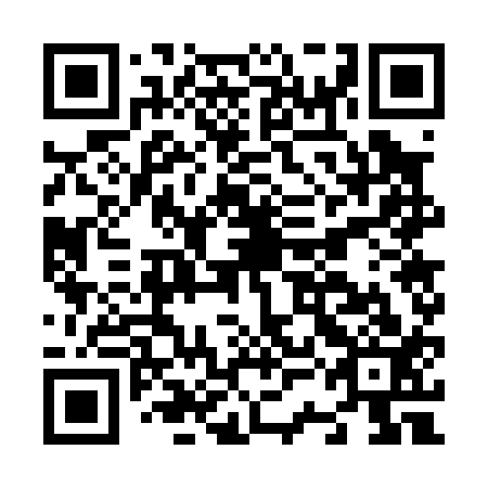 QR code for N3G 013