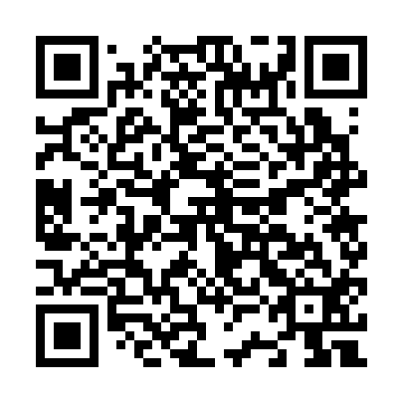 QR code for N3G 312