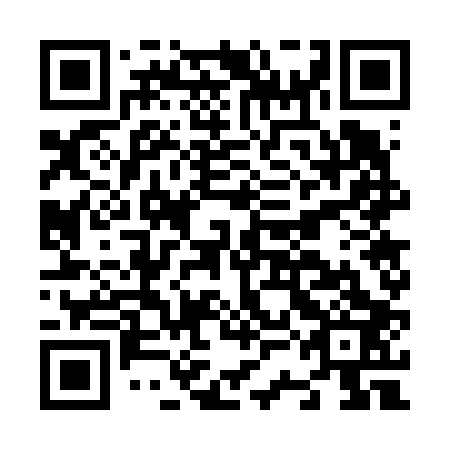QR code for N3G 603