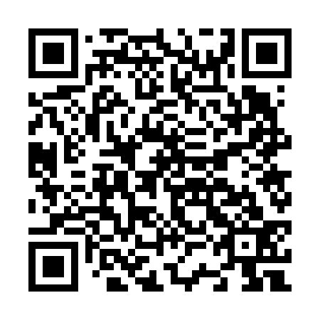 QR code for N3G 633