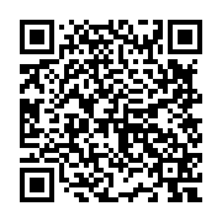 QR code for N3G 861