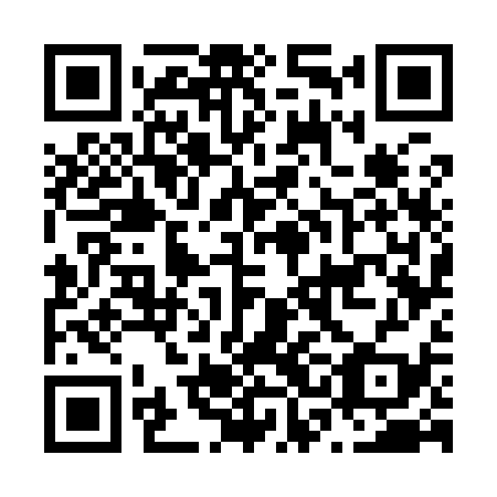QR code for N3G 939
