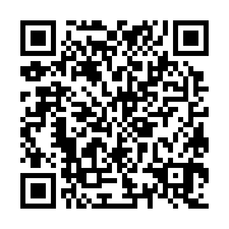 QR code for N3G380