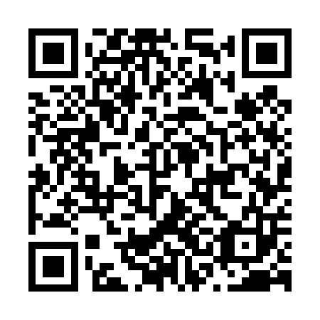 QR code for plate N3G 403