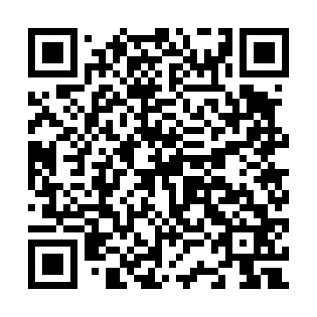 QR code for N3G462