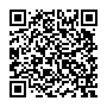 QR code for plate N3G 499