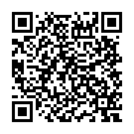 QR code for plate N3G 515