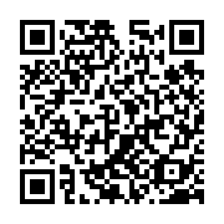 QR code for plate N3G 679