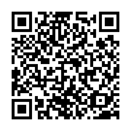 QR code for plate N3G 729