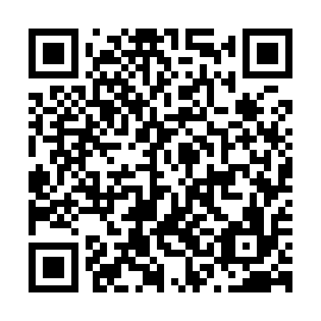 QR code for plate N3G 916