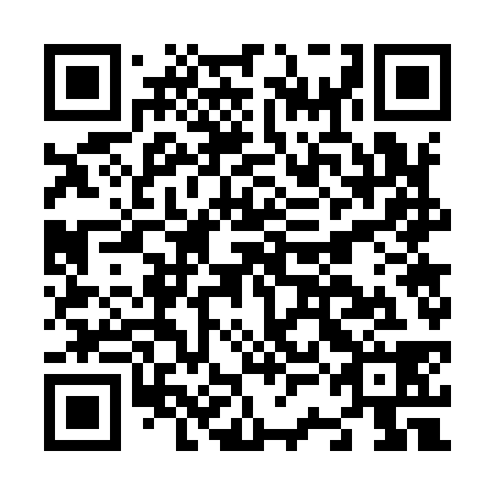 QR code for plate N3G 938