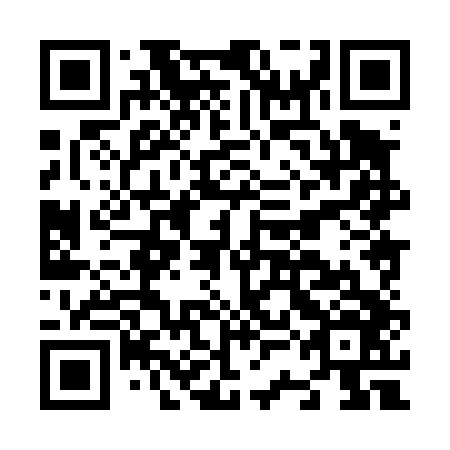 QR code for N3H 446
