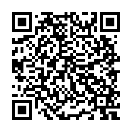 QR code for N3H 741