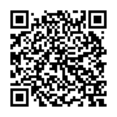 QR code for N3H273