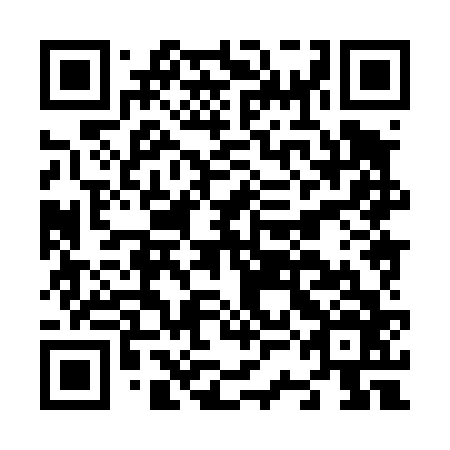 QR code for N3H466