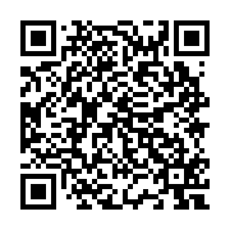 QR code for N3I 315