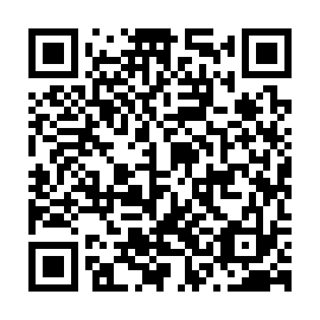 QR code for N3I 333