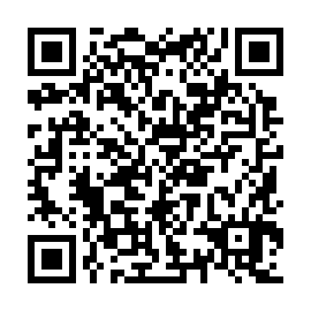QR code for N3I 384
