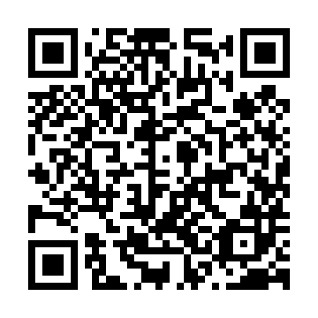 QR code for N3I 482