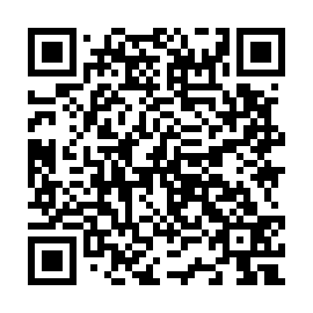 QR code for N3I 533