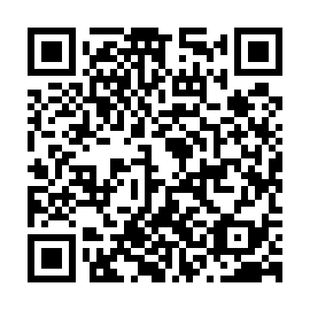 QR code for N3I 539