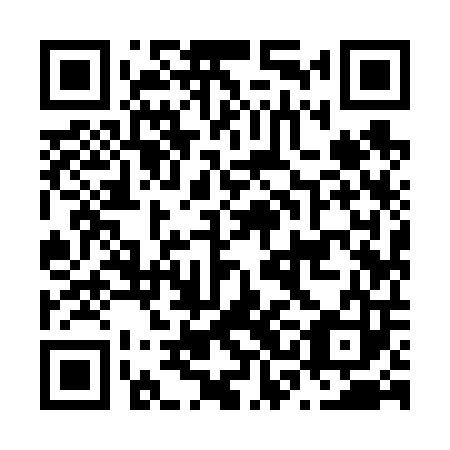 QR code for N3I 603