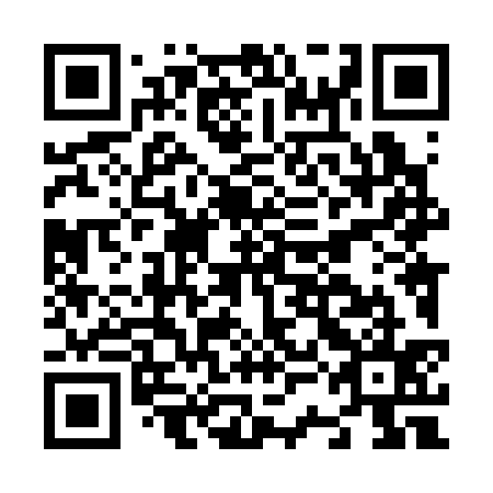 QR code for N3L 335