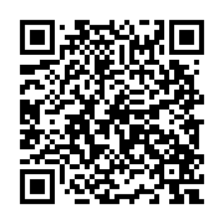 QR code for N3L 747