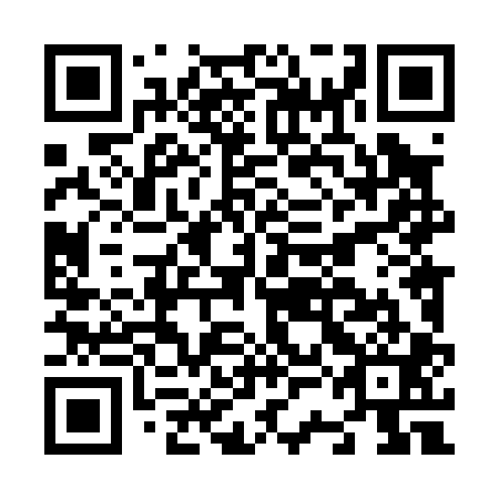 QR code for plate N3L 001