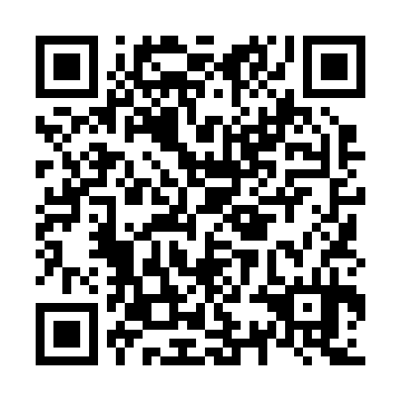 QR code for plate N3L 234