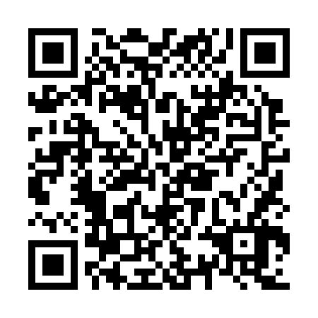 QR code for N3L366
