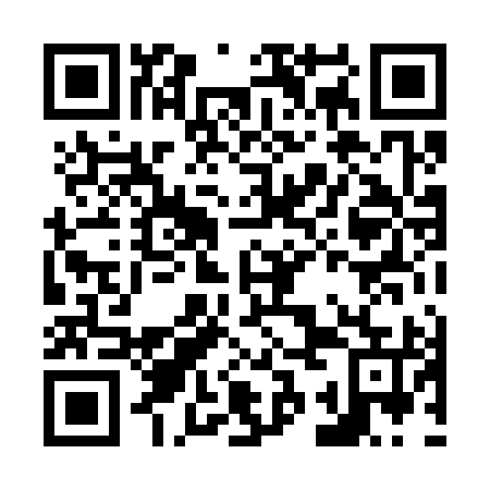QR code for N3L395