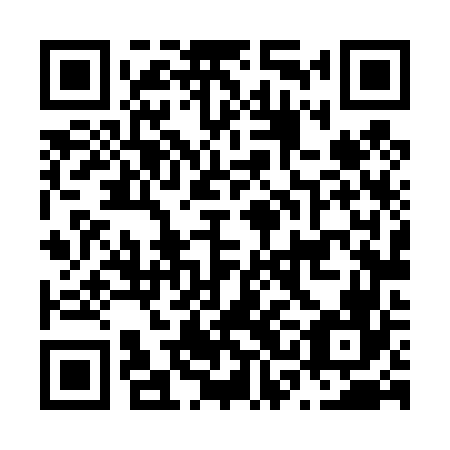 QR code for N3L466