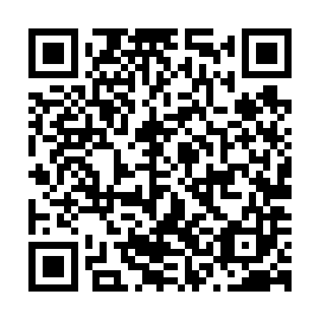 QR code for plate N3L 683