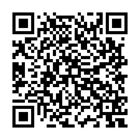 QR code for N3M 161