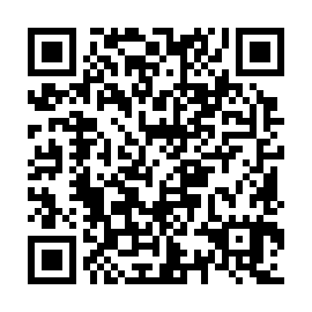 QR code for N3M 385