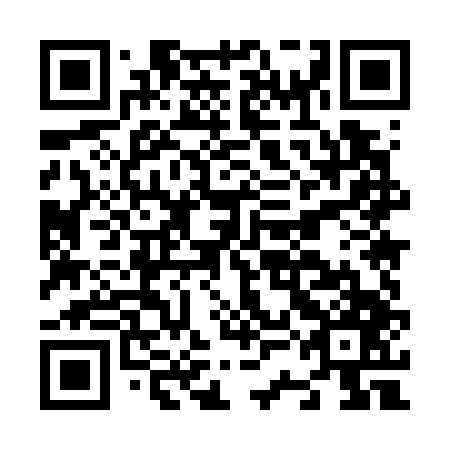 QR code for N3M 747