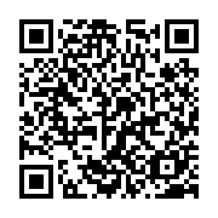 QR code for plate N3M 205
