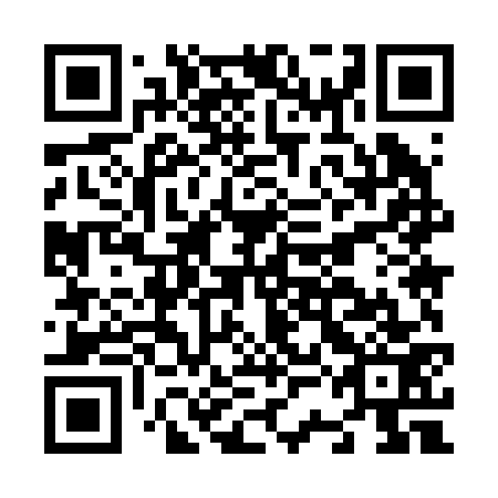 QR code for plate N3M 273