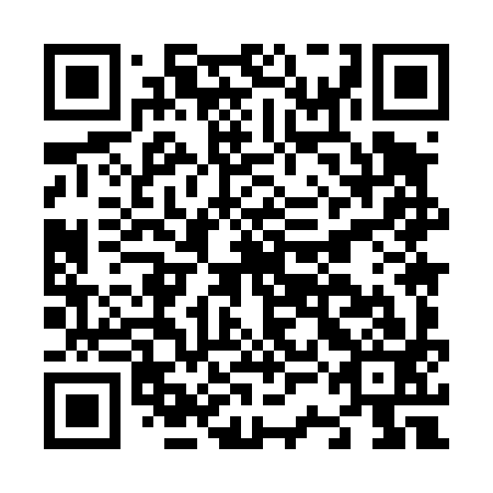 QR code for plate N3M 493