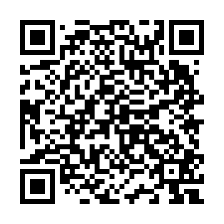 QR code for plate N3M 601