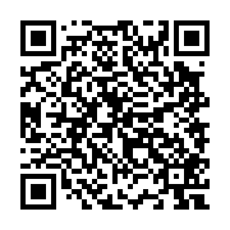 QR code for N3N 009