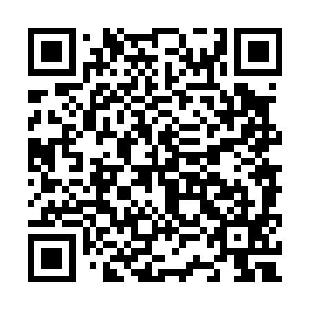 QR code for N3N 095