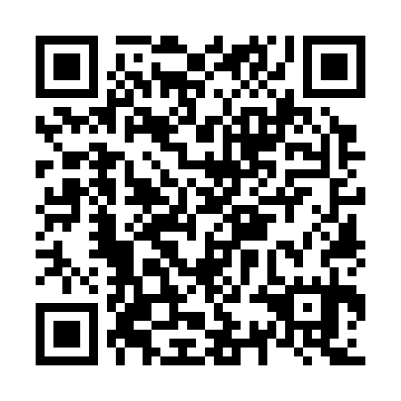QR code for N3O 335
