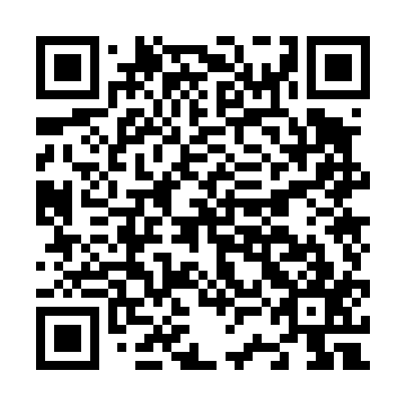 QR code for N3O 417