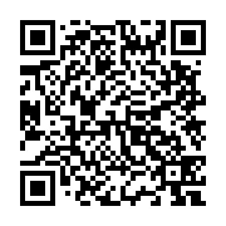QR code for N3O 539