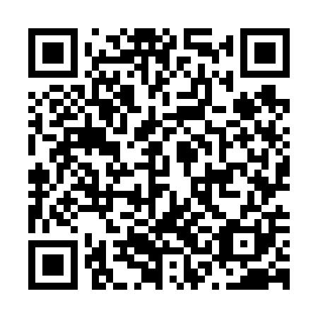 QR code for N3O 601