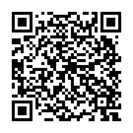 QR code for N3O 646
