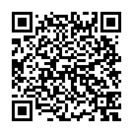 QR code for N3O 738